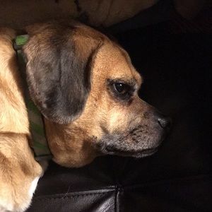 Meet your Posher, Christopher